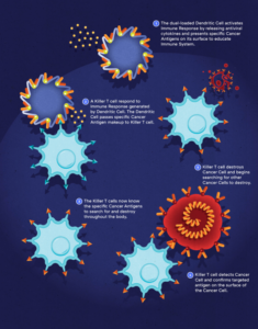 Immunocine | Cancer Treatment in Mexico