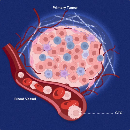 Circulating Tumor Cells