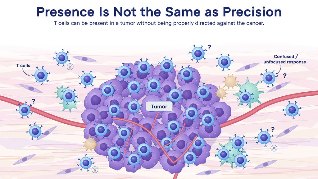 Illustration of a tumor surrounded by T cells, many marked with question marks, showing that T cells can be present in a tumor without being properly directed against the cancer.